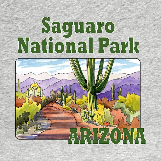 Saguaro National Park Arizona by MMcBuck